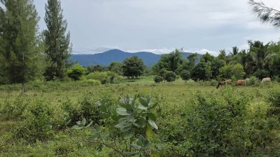 ขายที่ดินวิวสวย เห็นวิวเขาบ้านคา ต.หนองพันจันทร์ อ.บ้านคา จ.ราชบุรี