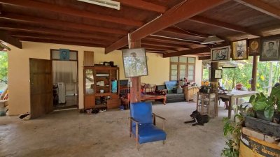 บ้านสวนผสมผสาน ต้นไม้ร่มรื่น ติดถนนลาดยาง พร้อมห้องทำงานริมบ่อน้ำ บ้านสวนผสมผสาน ต้นไม้ร่มรื่น ติดถนนลาดยาง พร้อมห้องทำงานริมบ่อน้ำ