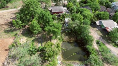 บ้านสวนผสมผสาน ต้นไม้ร่มรื่น ติดถนนลาดยาง พร้อมห้องทำงานริมบ่อน้ำ บ้านสวนผสมผสาน ต้นไม้ร่มรื่น ติดถนนลาดยาง พร้อมห้องทำงานริมบ่อน้ำ