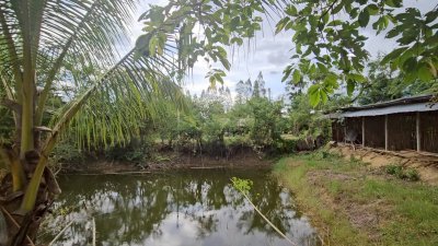 บ้านสวนผสมผสาน ต้นไม้ร่มรื่น ติดถนนลาดยาง พร้อมห้องทำงานริมบ่อน้ำ บ้านสวนผสมผสาน ต้นไม้ร่มรื่น ติดถนนลาดยาง พร้อมห้องทำงานริมบ่อน้ำ
