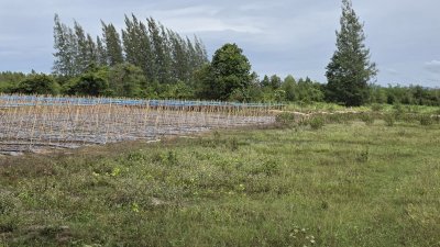 ขายที่ดินวิวสวย เห็นวิวเขาบ้านคา ต.หนองพันจันทร์ อ.บ้านคา จ.ราชบุรี ขายที่ดินวิวสวย เห็นวิวเขาบ้านคา ต.หนองพันจันทร์ อ.บ้านคา จ.ราชบุรี