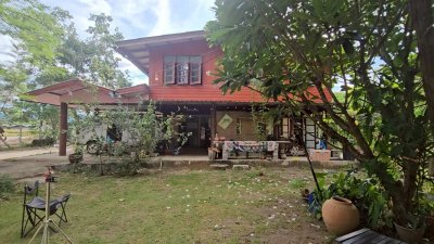 บ้านสวนผสมผสาน ต้นไม้ร่มรื่น ติดถนนลาดยาง พร้อมห้องทำงานริมบ่อน้ำ บ้านสวนผสมผสาน ต้นไม้ร่มรื่น ติดถนนลาดยาง พร้อมห้องทำงานริมบ่อน้ำ