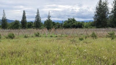 ขายที่ดินวิวสวย เห็นวิวเขาบ้านคา ต.หนองพันจันทร์ อ.บ้านคา จ.ราชบุรี