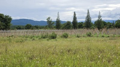 ขายที่ดินวิวสวย เห็นวิวเขาบ้านคา ต.หนองพันจันทร์ อ.บ้านคา จ.ราชบุรี