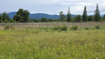 ขายที่ดินวิวสวย เห็นวิวเขาบ้านคา ต.หนองพันจันทร์ อ.บ้านคา จ.ราชบุรี ขายที่ดินวิวสวย เห็นวิวเขาบ้านคา ต.หนองพันจันทร์ อ.บ้านคา จ.ราชบุรี