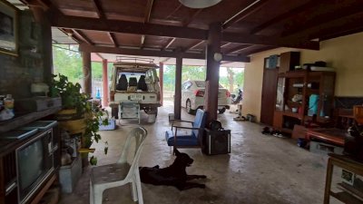 บ้านสวนผสมผสาน ต้นไม้ร่มรื่น ติดถนนลาดยาง พร้อมห้องทำงานริมบ่อน้ำ