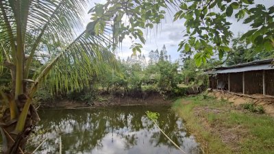 บ้านสวนผสมผสาน ต้นไม้ร่มรื่น ติดถนนลาดยาง พร้อมห้องทำงานริมบ่อน้ำ บ้านสวนผสมผสาน ต้นไม้ร่มรื่น ติดถนนลาดยาง พร้อมห้องทำงานริมบ่อน้ำ