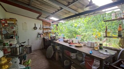 บ้านสวนผสมผสาน ต้นไม้ร่มรื่น ติดถนนลาดยาง พร้อมห้องทำงานริมบ่อน้ำ บ้านสวนผสมผสาน ต้นไม้ร่มรื่น ติดถนนลาดยาง พร้อมห้องทำงานริมบ่อน้ำ