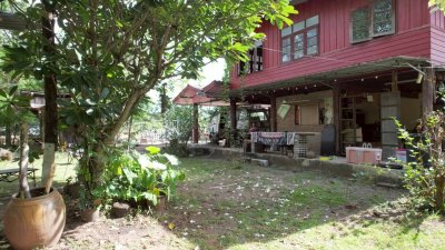 บ้านสวนผสมผสาน ต้นไม้ร่มรื่น ติดถนนลาดยาง พร้อมห้องทำงานริมบ่อน้ำ