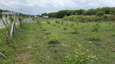 ที่ดิน 197 ตร.วา เข้าจากถนนทางหลวง 40 ม.