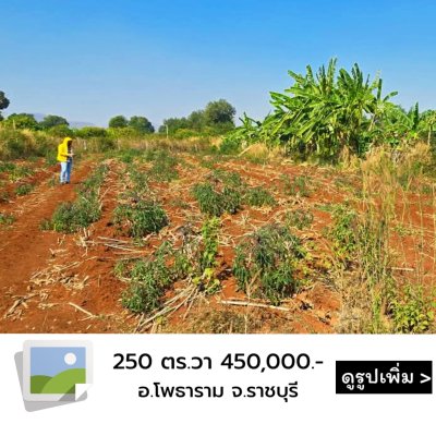 ที่ดิน 250 ตร.วา 450,000.- ติดถนนลาดยาง ใกล้อนามัย