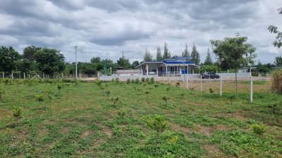 ที่ดินติดถนนทางหลวง ต.ท่าเคย อ.สวนผึ้ง จ.ราชบุรี