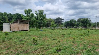 ที่ดินติดถนนทางหลวง ต.ท่าเคย อ.สวนผึ้ง จ.ราชบุรี ที่ดินติดถนนทางหลวง ต.ท่าเคย อ.สวนผึ้ง จ.ราชบุรี