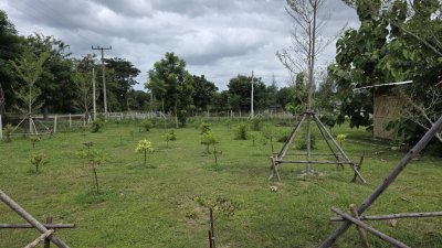 ที่ดินติดถนนทางหลวง ต.ท่าเคย อ.สวนผึ้ง จ.ราชบุรี ที่ดินติดถนนทางหลวง ต.ท่าเคย อ.สวนผึ้ง จ.ราชบุรี