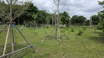 ที่ดินติดถนนทางหลวง ต.ท่าเคย อ.สวนผึ้ง จ.ราชบุรี