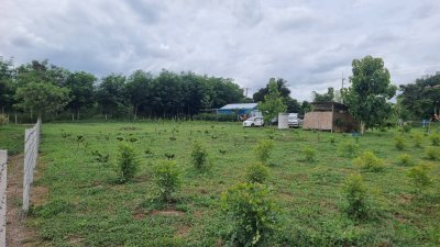 ที่ดิน 197 ตร.วา เข้าจากถนนทางหลวง 40 ม. ที่ดิน 197 ตร.วา เข้าจากถนนทางหลวง 40 ม.