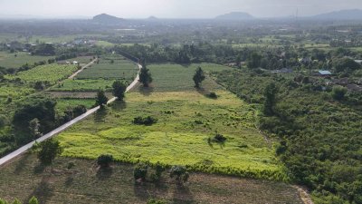 ขายที่ดินติดถนนคอนกรีต ใกล้ตลาด โรงพยาบาล 7-11 แค่ 5 นาที