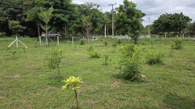 ที่ดินติดถนนทางหลวง ต.ท่าเคย อ.สวนผึ้ง จ.ราชบุรี