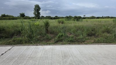 ขายที่ดินติดถนนคอนกรีต ใกล้ตลาด โรงพยาบาล 7-11 แค่ 5 นาที ขายที่ดินติดถนนคอนกรีต ใกล้ตลาด โรงพยาบาล 7-11 แค่ 5 นาที