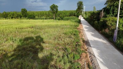 ขายที่ดินติดถนนคอนกรีต ใกล้ตลาด โรงพยาบาล 7-11 แค่ 5 นาที ขายที่ดินติดถนนคอนกรีต ใกล้ตลาด โรงพยาบาล 7-11 แค่ 5 นาที