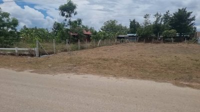 ที่ดินติดถนนลาดยาง 150 ตร.วา ราคา 490,000.- ฟรีโอน ที่ดินติดถนนลาดยาง 150 ตร.วา ราคา 490,000.- ฟรีโอน