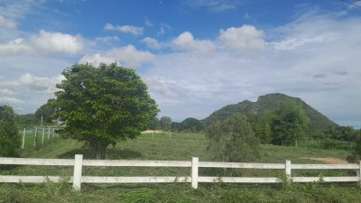 ขายที่ดินแปลงสวย #ถมสูงกว่าถนน ท่ามกลางวิวเขา #ใกล้แหล่งท่องเที่ยว