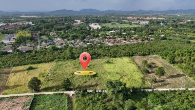 ขายที่ดินติดถนนคอนกรีต ใกล้ตลาด โรงพยาบาล 7-11 แค่ 5 นาที