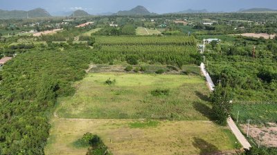 ขายที่ดินติดถนนคอนกรีต ใกล้ตลาด โรงพยาบาล 7-11 แค่ 5 นาที