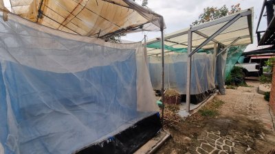 บ้านสไตล์ลอฟท์ 1 ไร่ ต.เขาชะงุ้ม อ.โพธาราม จ.ราชบุรี