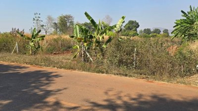 ที่ดิน 250 ตร.วา 450,000.- ติดถนนลาดยาง ใกล้อนามัย