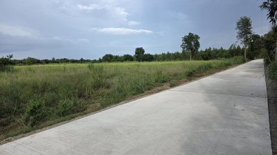 ขายที่ดินติดถนนคอนกรีต ใกล้ตลาด โรงพยาบาล 7-11 แค่ 5 นาที ขายที่ดินติดถนนคอนกรีต ใกล้ตลาด โรงพยาบาล 7-11 แค่ 5 นาที