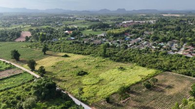 ขายที่ดินติดถนนคอนกรีต ใกล้ตลาด โรงพยาบาล 7-11 แค่ 5 นาที