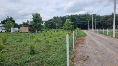 ที่ดิน 197 ตร.วา เข้าจากถนนทางหลวง 40 ม.