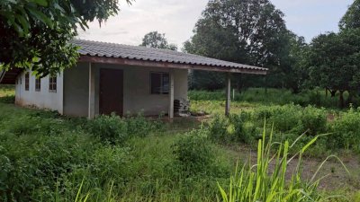 บ้านพร้อมที่ดิน ติดถนนสาธารณะ 2 ด้าน ใกล้ถนนทางหลวง โฉนดครุฑแดง บ้านพร้อมที่ดิน ติดถนนสาธารณะ 2 ด้าน ใกล้ถนนทางหลวง โฉนดครุฑแดง