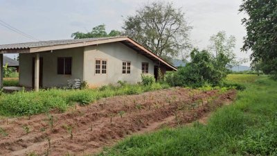 บ้านพร้อมที่ดิน ติดถนนสาธารณะ 2 ด้าน ใกล้ถนนทางหลวง โฉนดครุฑแดง