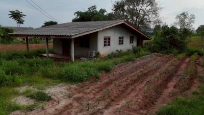 บ้านพร้อมที่ดิน ติดถนนสาธารณะ 2 ด้าน ใกล้ถนนทางหลวง โฉนดครุฑแดง บ้านพร้อมที่ดิน ติดถนนสาธารณะ 2 ด้าน ใกล้ถนนทางหลวง โฉนดครุฑแดง