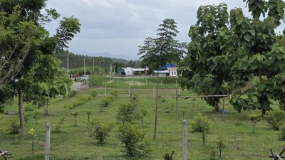 ที่ดิน 197 ตร.วา เข้าจากถนนทางหลวง 40 ม.