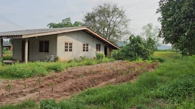 บ้านพร้อมที่ดิน ติดถนนสาธารณะ 2 ด้าน ใกล้ถนนทางหลวง โฉนดครุฑแดง บ้านพร้อมที่ดิน ติดถนนสาธารณะ 2 ด้าน ใกล้ถนนทางหลวง โฉนดครุฑแดง