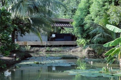 บ้านพร้อมสวนมะพร้าว และเกษตรผสมผสาน ติดคลองสาธารณะ