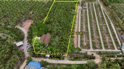 บ้านพร้อมสวนมะพร้าว และเกษตรผสมผสาน ติดคลองสาธารณะ บ้านพร้อมสวนมะพร้าว และเกษตรผสมผสาน ติดคลองสาธารณะ