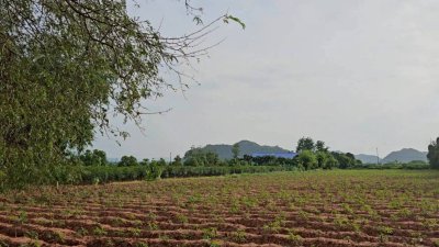 บ้านพร้อมที่ดิน ติดถนนสาธารณะ 2 ด้าน ใกล้ถนนทางหลวง โฉนดครุฑแดง