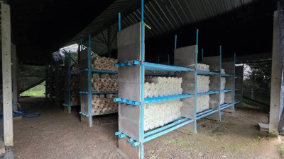 บ้านพร้อมที่ดิน 1 ไร่ ราคา 2,200,000 บาท  ใกล้ตลาดและรพ.จอมบึง