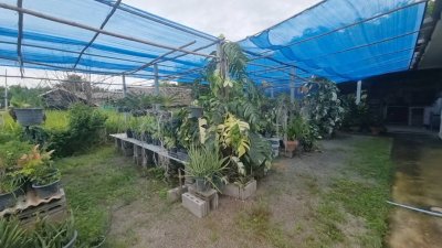 บ้านพร้อมที่ดิน 1 ไร่ ราคา 2,200,000 บาท  ใกล้ตลาดและรพ.จอมบึง