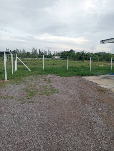 ขายที่ดินพร้อมบ้าน 200 ตร.วา 950,000 ครุฑแดง ฟรีโอน