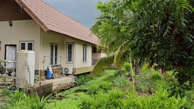 บ้านพร้อมสวนมะพร้าว และเกษตรผสมผสาน ติดคลองสาธารณะ บ้านพร้อมสวนมะพร้าว และเกษตรผสมผสาน ติดคลองสาธารณะ