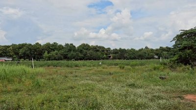 เนื้อที่ 80 ตารางวา ราคาเพียง 200,000 บาท เนื้อที่ 80 ตารางวา ราคาเพียง 200,000 บาท