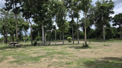 ที่ดิน 2 ไร่ ถนนหน้าแปลงกว้าง 10ม.+ พร้อมไฟฟ้า น้ำประปา ล้อมรั้ว ที่ดิน 2 ไร่ ถนนหน้าแปลงกว้าง 10ม.+ พร้อมไฟฟ้า น้ำประปา ล้อมรั้ว