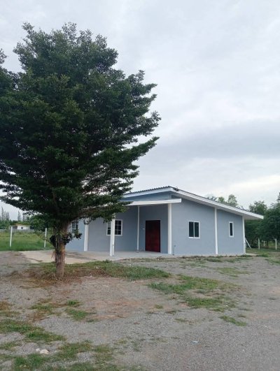 ขายที่ดินพร้อมบ้าน 200 ตร.วา 950,000 ครุฑแดง ฟรีโอน