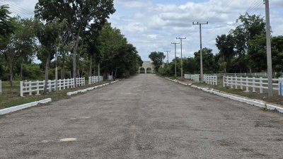 ที่ดิน 2 ไร่ ถนนหน้าแปลงกว้าง 10ม.+ พร้อมไฟฟ้า น้ำประปา ล้อมรั้ว ที่ดิน 2 ไร่ ถนนหน้าแปลงกว้าง 10ม.+ พร้อมไฟฟ้า น้ำประปา ล้อมรั้ว