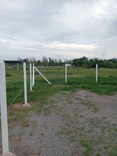 ขายที่ดินพร้อมบ้าน 200 ตร.วา 950,000 ครุฑแดง ฟรีโอน